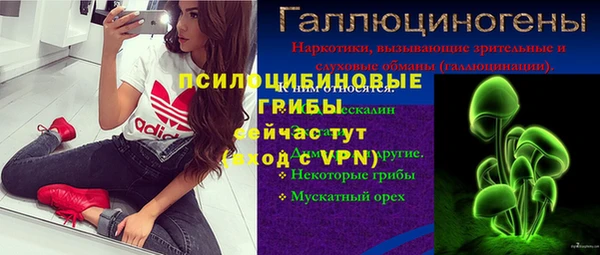тгк Корсаков