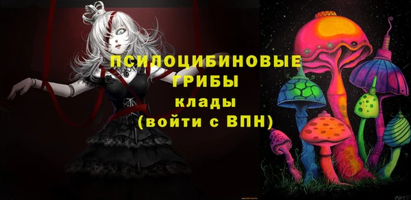 крисы Протвино