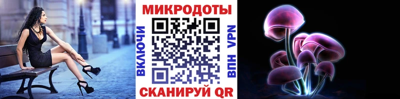 Галлюциногенные грибы Psilocybine cubensis  Киренск 